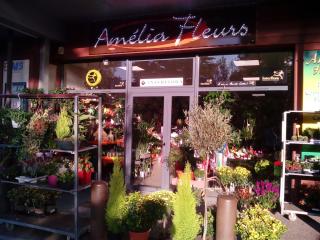 Fleuriste Amelia Fleurs 0