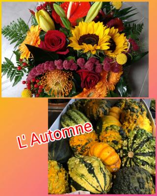 Fleuriste Fleur d'Arum 0