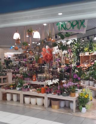 Fleuriste Tropix Illkirch-Graffenstaden 0