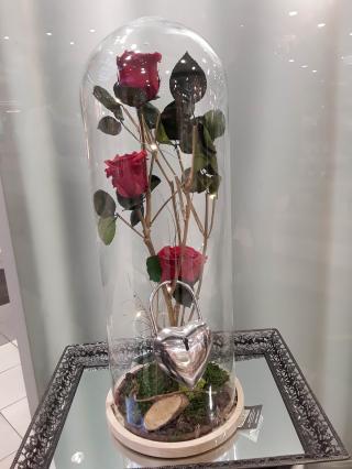 Fleuriste Tropix Illkirch-Graffenstaden 0