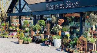 Fleuriste Fleurs et Sève, Artisan Fleuriste 0