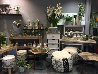 Fleuriste MARY'FLOR 0