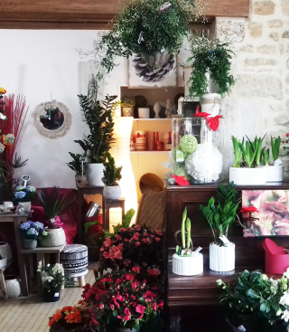 Fleuriste Crocus Fleurs 0