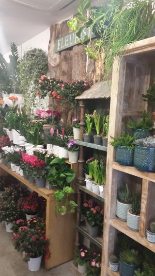 Fleuriste Antana Fleuriste SARL 0