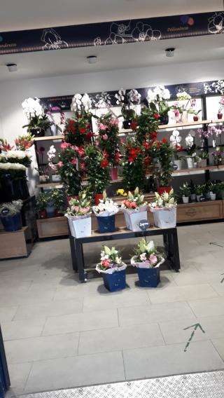 Fleuriste Monceau Fleurs 0