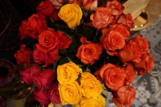 Fleuriste Demoiselle GOL 0