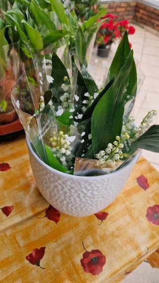 Fleuriste Les Jardins d'Amandine 1