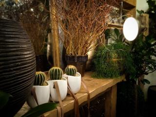 Fleuriste Stanislas Ducreux | Fleuriste 0