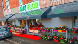 Fleuriste Marché aux Fleurs Any Flor 0