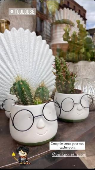 Fleuriste Ginkgo & Paon Flowers 0