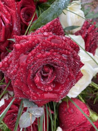 Fleuriste Capucine 0