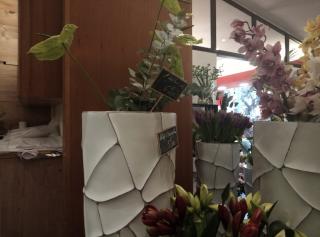 Fleuriste Passiconia 1