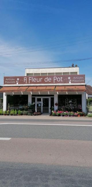 Fleuriste A Fleur de Pot 0