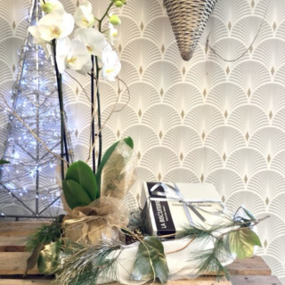 Fleuriste Couleur Fleurs 0