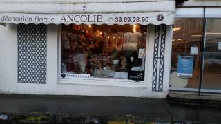 Fleuriste Ancolie La Celle St Cloud 0