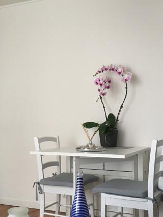 Fleuriste Floris, Artisan Fleuriste 0