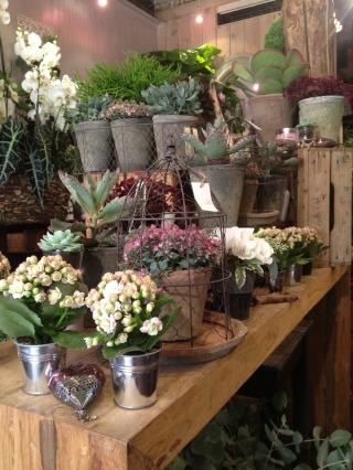 Fleuriste Le Jardin Saint Jérôme 2