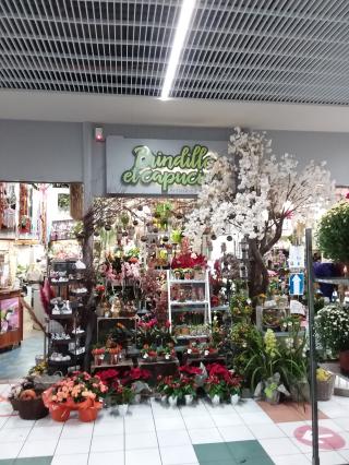 Fleuriste Brindille et Capucine 0