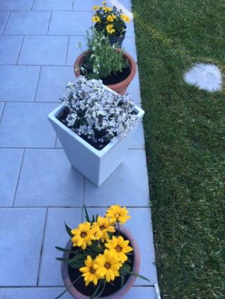 Fleuriste La Maison Du Fleuriste 0