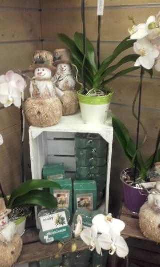 Fleuriste Fleurs Du Midi Sarl 0