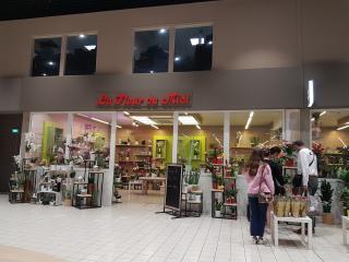 Fleuriste Fleurs Du Midi Sarl 0