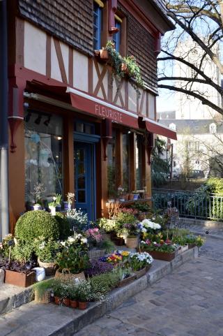 Fleuriste Maison Marguerite 0