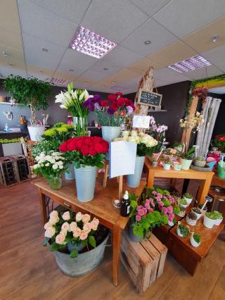 Fleuriste Le sabot de venus 0