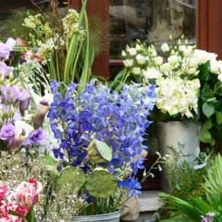 Fleuriste Le Jardin, Artisan Fleuriste Rethel 0