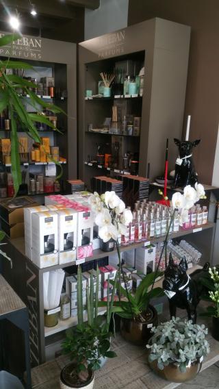 Fleuriste Aliciane 0