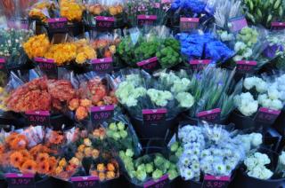 Fleuriste Bouton de Rose 0