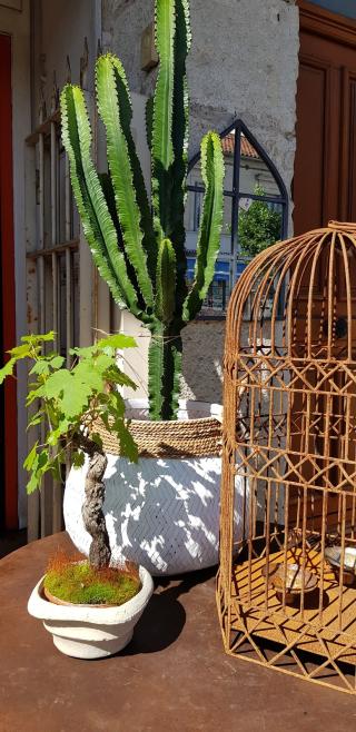 Fleuriste Il Giardino 2