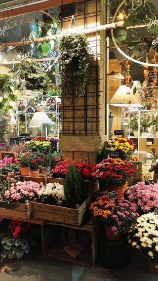 Fleuriste L'Espace d'Un Matin 0