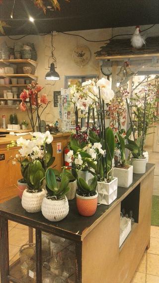 Fleuriste L'Espace d'Un Matin 0