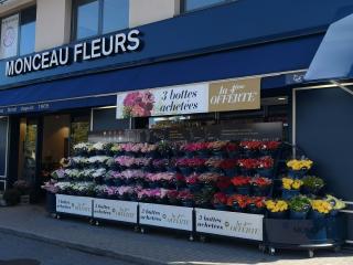 Fleuriste MONCEAU FLEURS 0