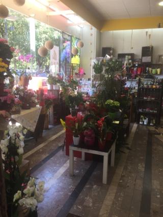 Fleuriste Dany fleurs Gotte Carole 0