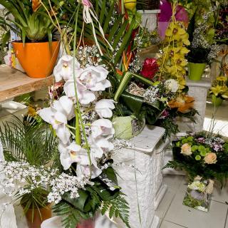 Fleuriste Celine fleurs 0