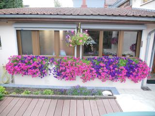 Fleuriste Aux Serres 0