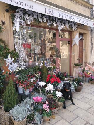 Fleuriste Les fleurs d uzes 0