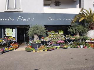 Fleuriste CLAUDIE FLEURS 0