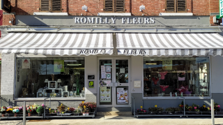 Fleuriste Romilly fleurs 0