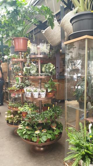 Fleuriste Maison Meunier 0