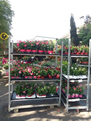 Fleuriste L'Atelier d'Astrid - Espace Fleur 0