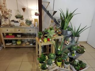 Fleuriste Fleur d'Eden 1