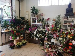 Fleuriste Fleur d'Eden 0