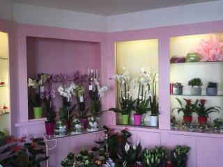 Fleuriste Oriane Fleurs 0
