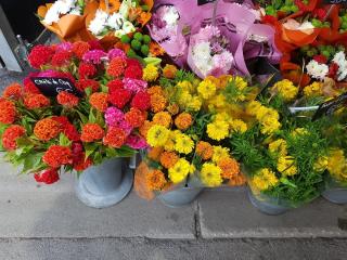 Fleuriste LA LOGE AUX FLEURS 2