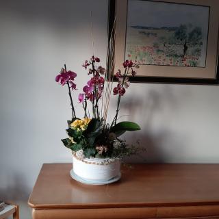 Fleuriste Capucine 0