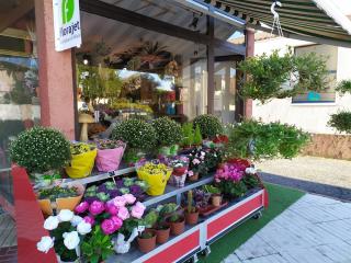 Fleuriste SOHO by Florilege 0