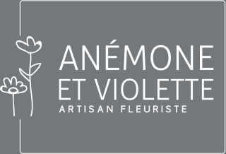 Fleuriste Anémone et Violette 0