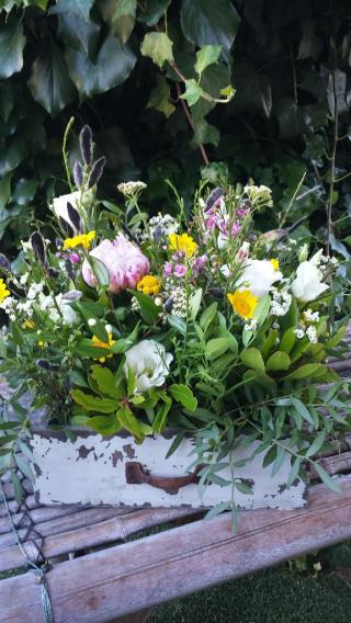 Fleuriste Des Lys En Fleurs 0